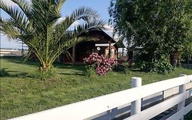 Cabañas Los Castaños
